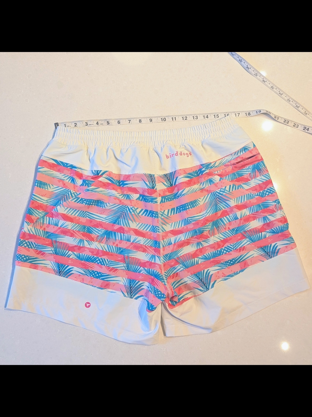 Birddogs Men's XXL 6" Inseam White Pink & Teal Palm-Stripe Swim Trunks (XL fit)